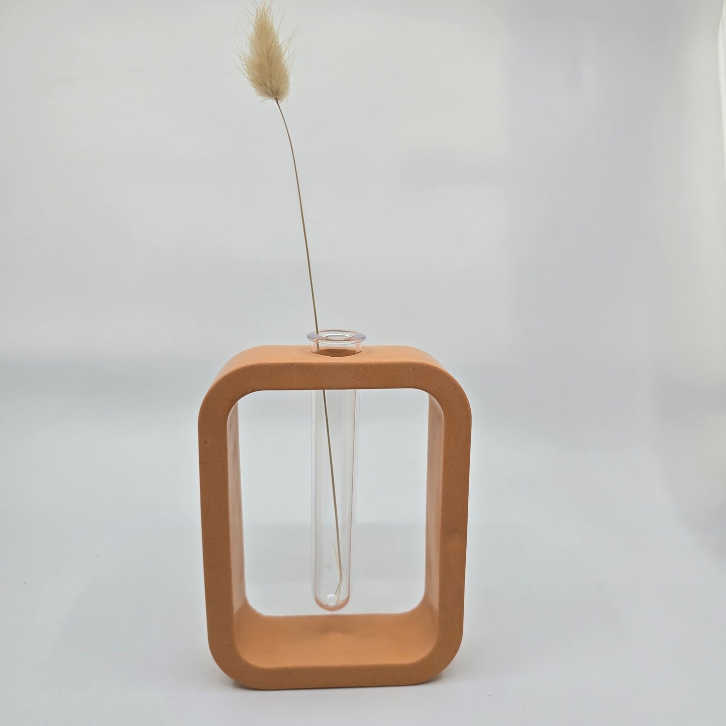 ROOT - Propagation Vase