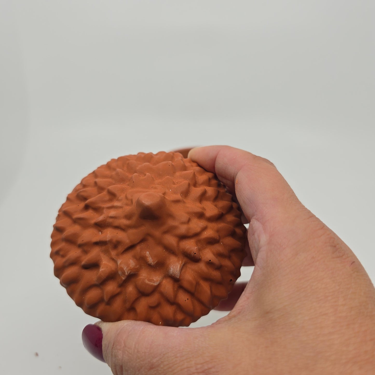 ACORN - Candle