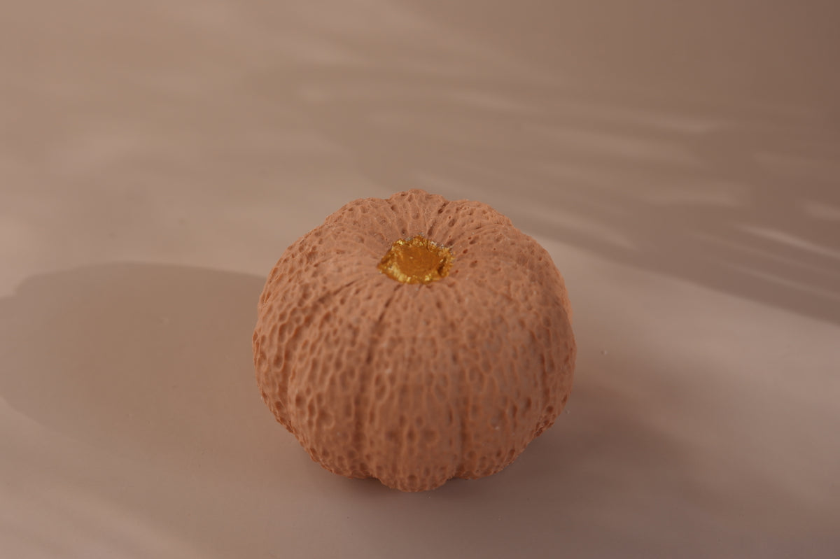 PUMPKINS - Mini Decorative Objects