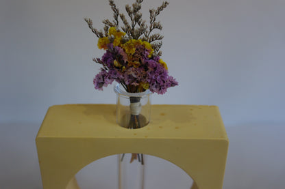 ROOT - Propagation Vase (Super Second)