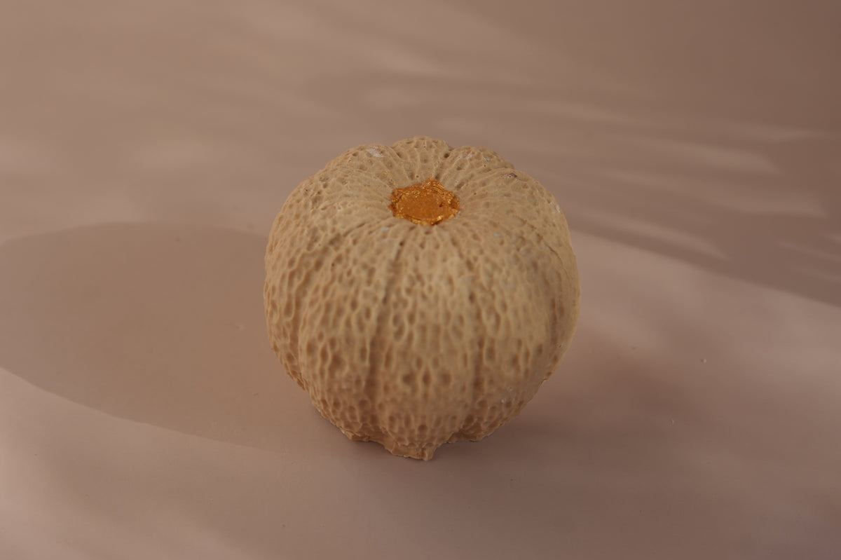 PUMPKINS - Mini Decorative Objects