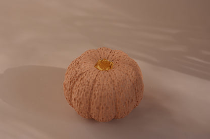 PUMPKINS - Mini Decorative Objects
